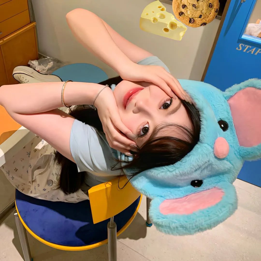 不疯不狂不爱你