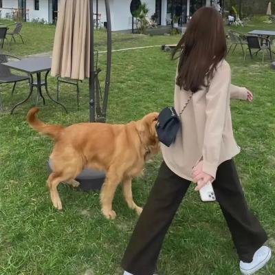 4月的东京...